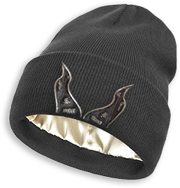 Avalon University Embroidered Beanie